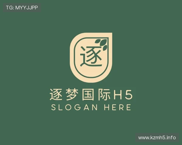 认识逐梦国际h5